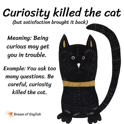 what killed the cat word hike|Word Hike What killed the cat, in a saying [ Answer ] .